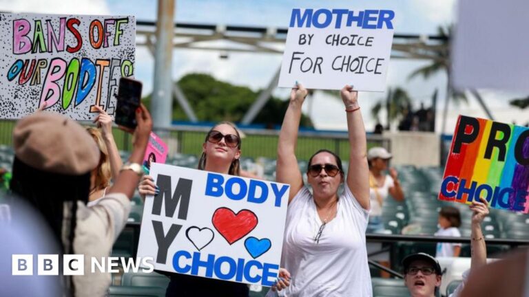 Florida voters to weigh abortion ballot measure newsthirst.