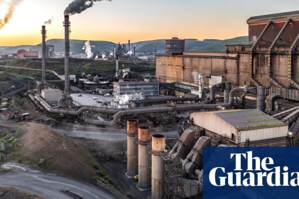 UK steel industry calls for capped energy prices amid Trump trade war | Steel industry newsthirst.