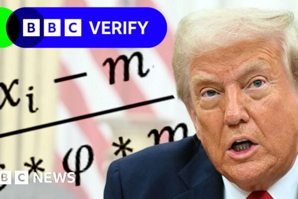 How were Donald Trump’s tariffs calculated? newsthirst.