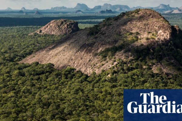 Ten dead in ‘brutal’ attacks by Isis-linked militants on Mozambique wildlife reserve | Global development newsthirst.