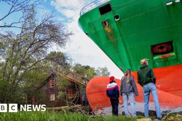 Man in Norway wakes to find huge container ship in garden newsthirst.
