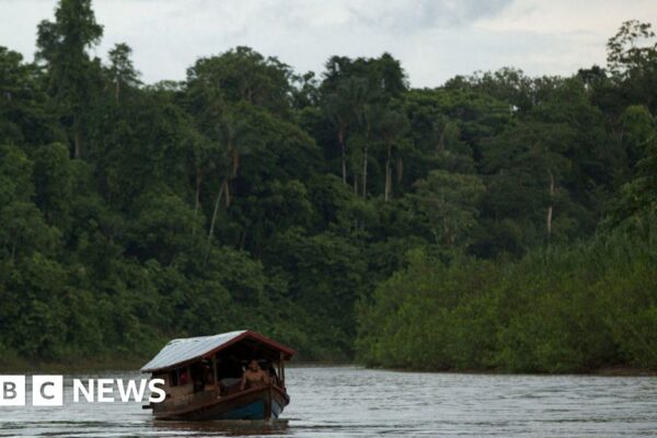 Amazon tribe sues New York Times over story it says led to porn addict claims newsthirst.